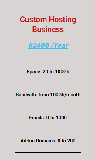 Custom Hosting Business